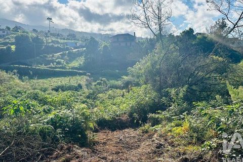 Tomt i Santana, Madeira, Santana - € 85 000 | Ref: 699579 - foto 17