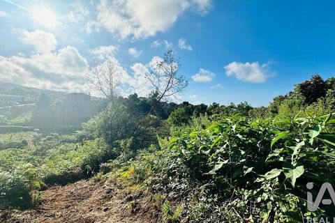 Tomt i Santana, Madeira, Santana - € 85 000 | Ref: 699579 - foto 22