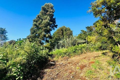 Tomt i Santana, Madeira, Santana - € 85 000 | Ref: 699579 - foto 23