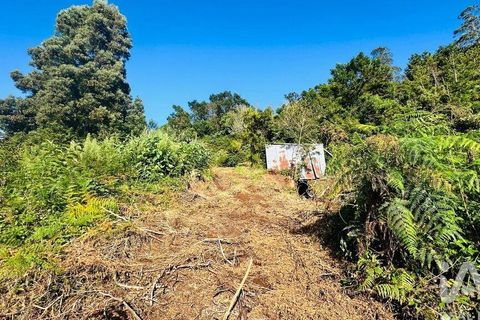 Tomt i Santana, Madeira, Santana - € 85 000 | Ref: 699579 - foto 24