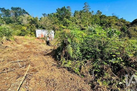 Tomt i Santana, Madeira, Santana - € 85 000 | Ref: 699579 - foto 25