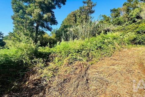 Tomt i Santana, Madeira, Santana - € 85 000 | Ref: 699579 - foto 28
