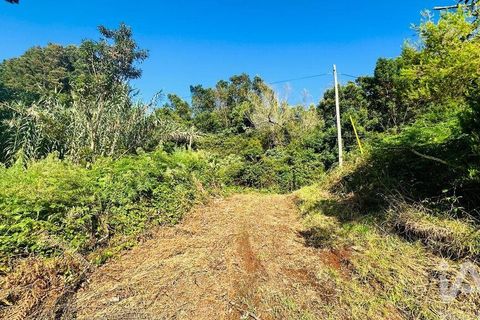 Tomt i Santana, Madeira, Santana - € 85 000 | Ref: 699579 - foto 29
