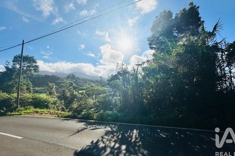 Tomt i Santana, Madeira, Santana - € 85 000 | Ref: 699579 - foto 33