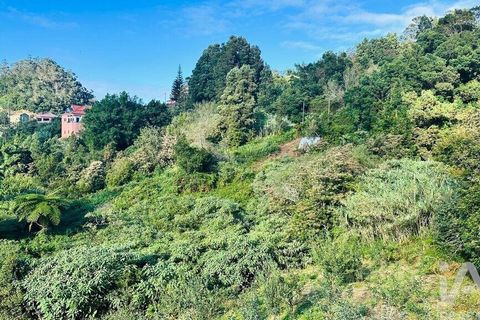 Tomt i Santana, Madeira, Santana - € 85 000 | Ref: 699579 - foto 35