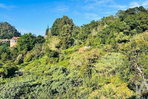 Tomt i Santana, Madeira, Santana - € 85 000 | Ref: 699579 - foto 37