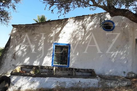 Farm i Lagos, Faro, Lagos - € 1.850.000 | Ref: MAS_340 - foto 6