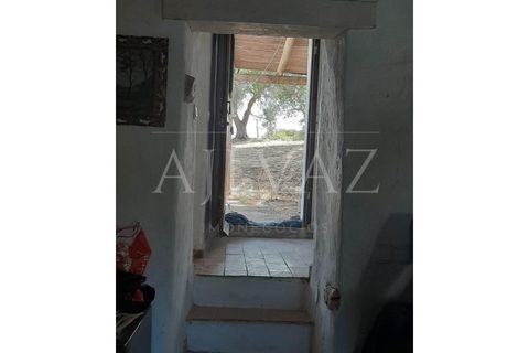 Farm i Lagos, Faro, Lagos - € 1.850.000 | Ref: MAS_340 - foto 17