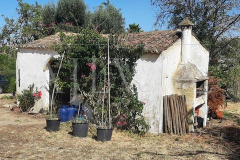 Farm i Lagos, Faro, Lagos - € 1.850.000 | Ref: MAS_340 - foto 20