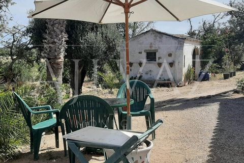 Farm i Lagos, Faro, Lagos - € 1.850.000 | Ref: MAS_340 - foto 21