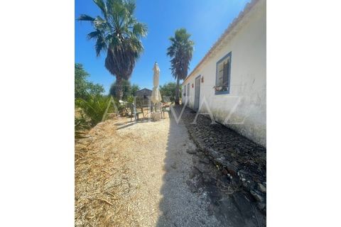 Farm i Lagos, Faro, Lagos - € 1.850.000 | Ref: MAS_340 - foto 24