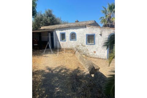 Farm i Lagos, Faro, Lagos - € 1.850.000 | Ref: MAS_340 - foto 29