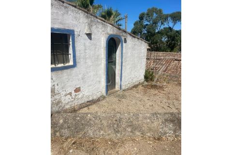 Farm i Lagos, Faro, Lagos - € 1.850.000 | Ref: MAS_340 - foto 30