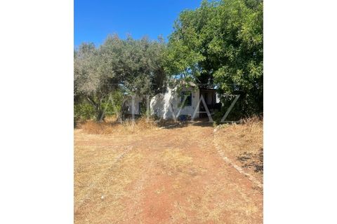 Farm i Lagos, Faro, Lagos - € 1.850.000 | Ref: MAS_340 - foto 33