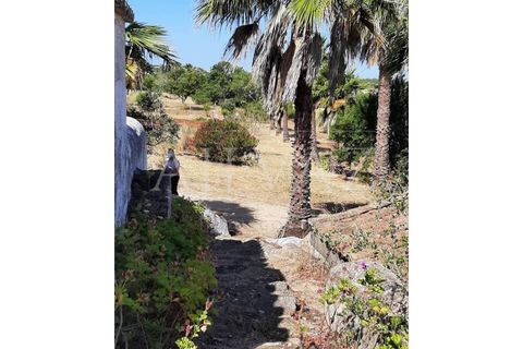 Farm i Lagos, Faro, Lagos - € 1.850.000 | Ref: MAS_340 - foto 34