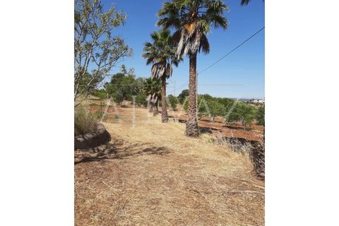 Farm i Lagos, Faro, Lagos - € 1.850.000 | Ref: MAS_340 - foto 35
