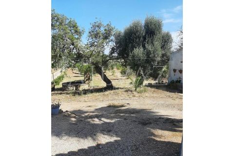 Farm i Lagos, Faro, Lagos - € 1.850.000 | Ref: MAS_340 - foto 36