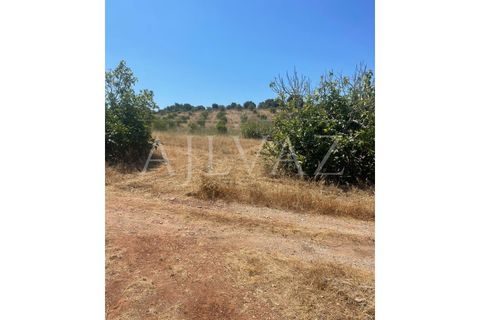 Farm i Lagos, Faro, Lagos - € 1.850.000 | Ref: MAS_340 - foto 38