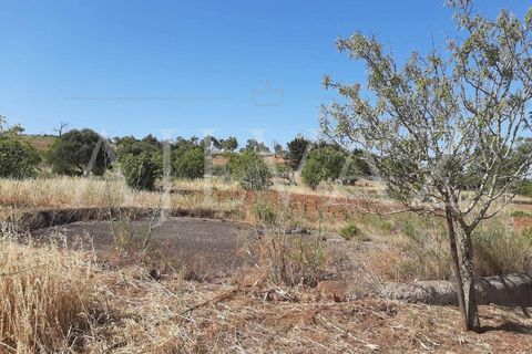 Farm i Lagos, Faro, Lagos - € 1.850.000 | Ref: MAS_340 - foto 39