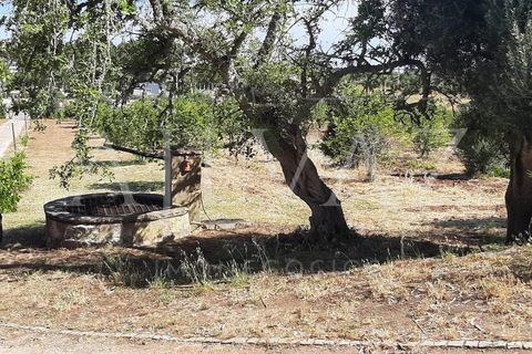 Farm i Lagos, Faro, Lagos - € 1.850.000 | Ref: MAS_340 - foto 40