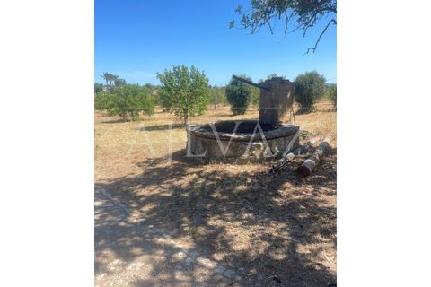 Farm i Lagos, Faro, Lagos - € 1.850.000 | Ref: MAS_340 - foto 41