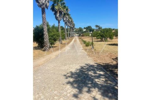 Farm i Lagos, Faro, Lagos - € 1.850.000 | Ref: MAS_340 - foto 42