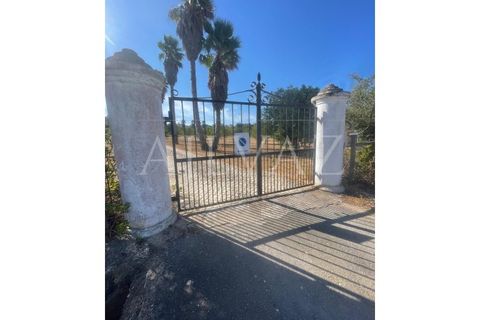 Farm i Lagos, Faro, Lagos - € 1.850.000 | Ref: MAS_340 - foto 2