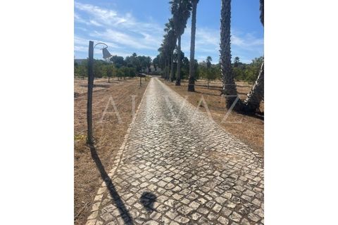 Farm i Lagos, Faro, Lagos - € 1.850.000 | Ref: MAS_340 - foto 43