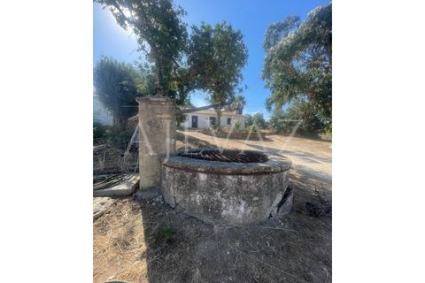 Farm i Lagos, Faro, Lagos - € 1.850.000 | Ref: MAS_340 - foto 44