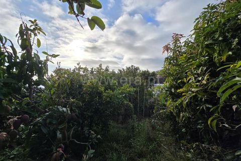 Helårsgrund i Calheta, Madeira, Calheta - € 260.000 | Ref: 081250195 - foto 8