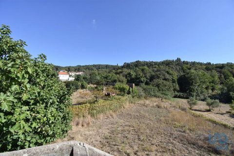 Byhus i Penela, Coimbra, Penela - € 75.000 | Ref: 149195 - foto 9