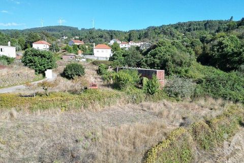 Byhus i Penela, Coimbra, Penela - € 75.000 | Ref: 149195 - foto 28