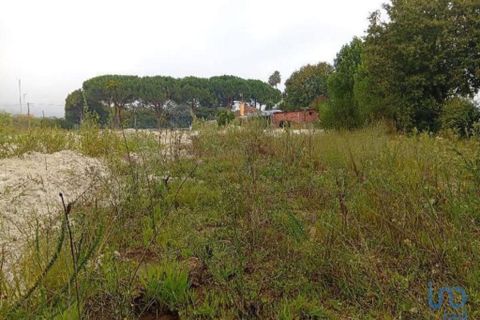 Tomt i Barcelos, Braga, Barcelos - € 138 000 | Ref: 149084 - foto 14