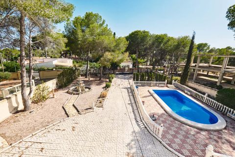 Villa a Pinar De Campoverde, Alicante, Pinar De Campoverde - € 395.000 | Ref: PIP763 - foto 39