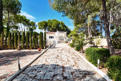 Villa a Pinar De Campoverde, Alicante, Pinar De Campoverde - € 395.000 | Ref: PIP763 - foto 49