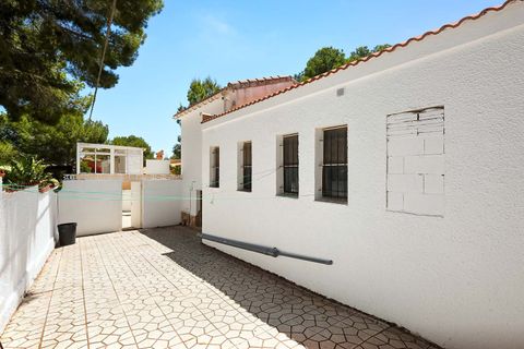 Villa a Pinar De Campoverde, Alicante, Pinar De Campoverde - € 395.000 | Ref: PIP763 - foto 48