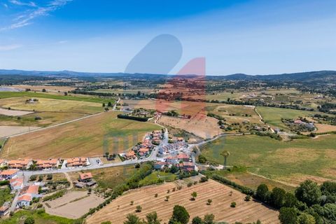 Rækkehus i Boidobra, Castelo Branco, Boidobra - € 435.000 | Ref: 440044/25Cov - foto 50