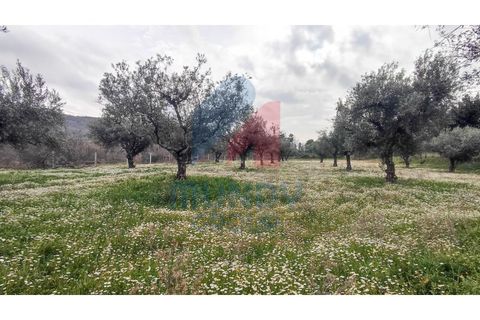 Villa a Macainhas de Baixo, Guarda, Macainhas de Baixo - € 285.000 | Ref: 440017/25COV - foto 27