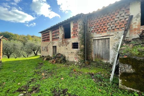 Villa i Lucca, Lucca, Lucca - € 3.000.000 | Ref: IA04112 - foto 21