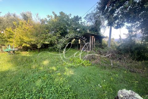 Villa i Massarosa, Lucca, Massarosa - € 550.000 | Ref: 2593 - foto 17