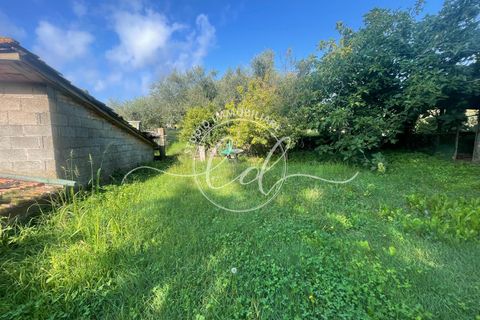 Villa i Massarosa, Lucca, Massarosa - € 550.000 | Ref: 2593 - foto 25