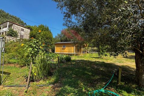 Villa i Arcos de Valdevez, Viana do Castelo, Arcos de Valdevez - € 750.000 | Ref: AVV-2452-CD-0725 - foto 25