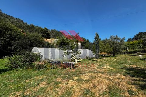 Villa i Arcos de Valdevez, Viana do Castelo, Arcos de Valdevez - € 750.000 | Ref: AVV-2452-CD-0725 - foto 31