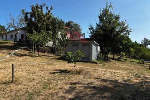 Villa i Arcos de Valdevez, Viana do Castelo, Arcos de Valdevez - € 750.000 | Ref: AVV-2452-CD-0725 - foto 34