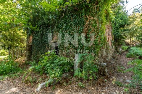 Ruinere i Arcos de Valdevez, Viana do Castelo, Arcos de Valdevez - € 35.000 | Ref: UNU.I.130.23362 - foto 2