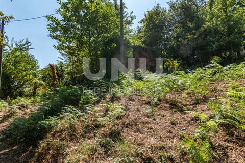 Ruinere i Arcos de Valdevez, Viana do Castelo, Arcos de Valdevez - € 35.000 | Ref: UNU.I.130.23362 - foto 6