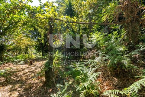 Ruinere i Arcos de Valdevez, Viana do Castelo, Arcos de Valdevez - € 35.000 | Ref: UNU.I.130.23362 - foto 7