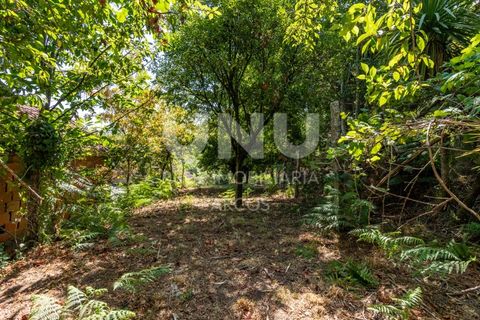 Ruinere i Arcos de Valdevez, Viana do Castelo, Arcos de Valdevez - € 35.000 | Ref: UNU.I.130.23362 - foto 8