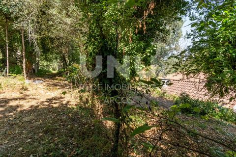 Ruinere i Arcos de Valdevez, Viana do Castelo, Arcos de Valdevez - € 35.000 | Ref: UNU.I.130.23362 - foto 9