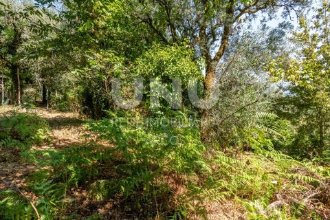 Ruinere i Arcos de Valdevez, Viana do Castelo, Arcos de Valdevez - € 35.000 | Ref: UNU.I.130.23362 - foto 10